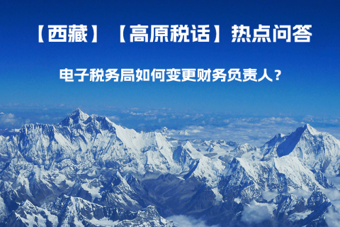 電子稅務(wù)局如何變更財務(wù)負(fù)責(zé)人？