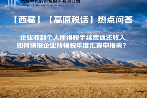 企業(yè)收到個(gè)人所得稅手續(xù)費(fèi)返還收入，如何填報(bào)企業(yè)所得稅年度匯算申報(bào)表？