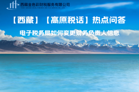 西藏電子稅務(wù)局如何變更財務(wù)負(fù)責(zé)人信息？